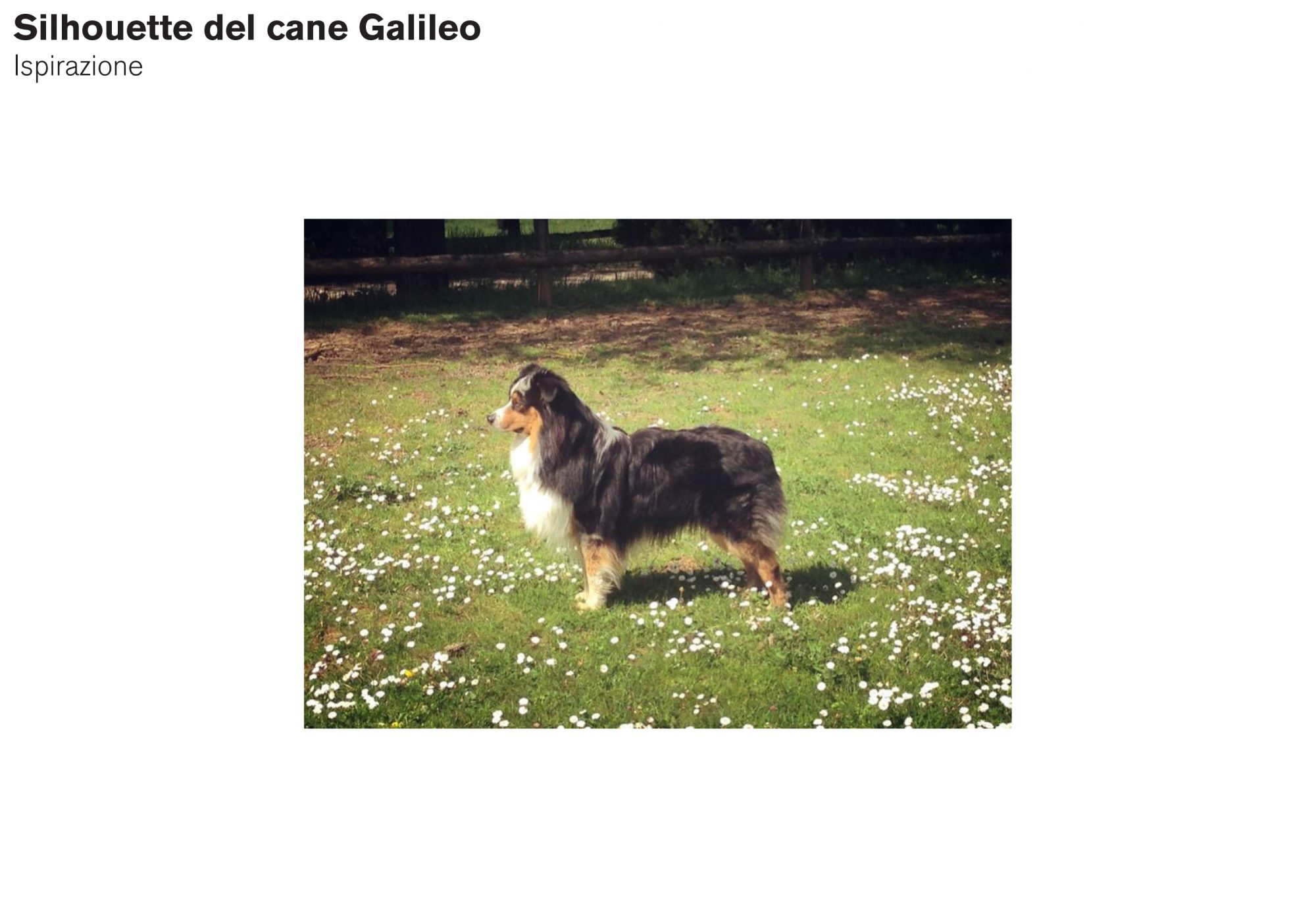 161220_Etichetta_vino_cane_modifiche (1)-2