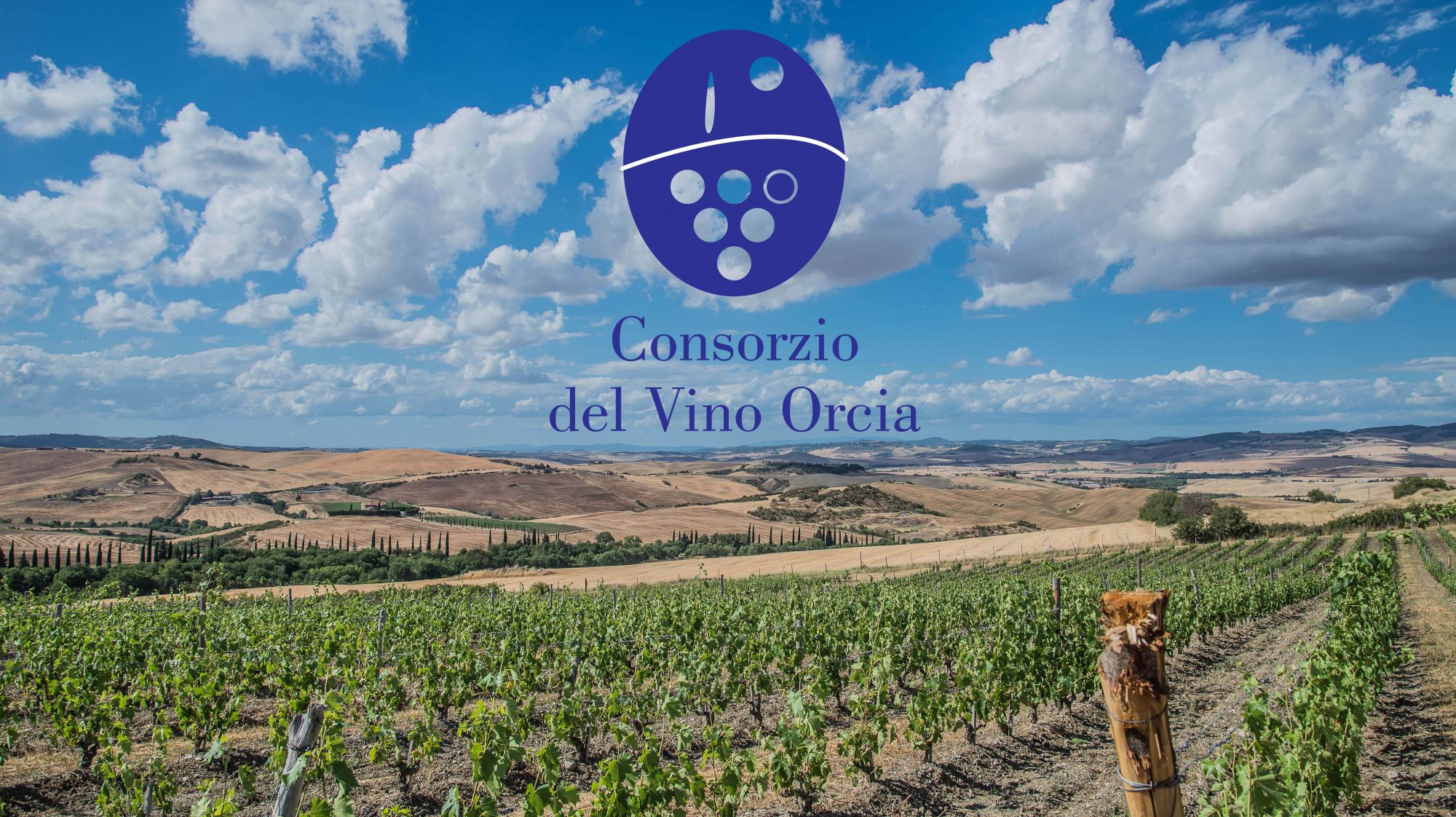 Video Consorzio del Vino Orcia