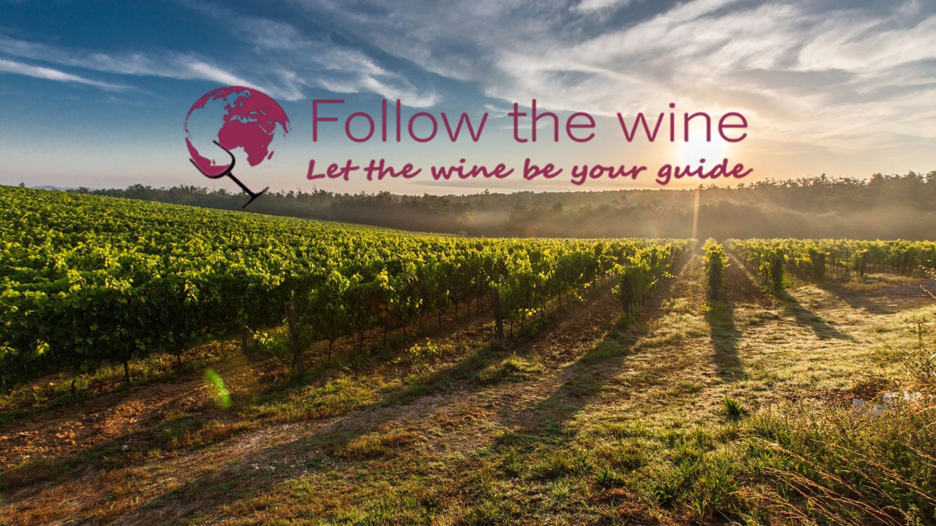 Follow The Wine