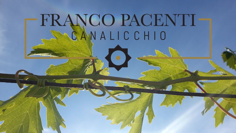 Franco Pacenti Canalicchio